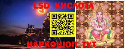 прущие крисы Тара