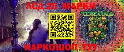 гидра Тверь