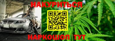 прущие крисы Тара