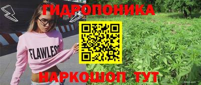 прущие крисы Тара