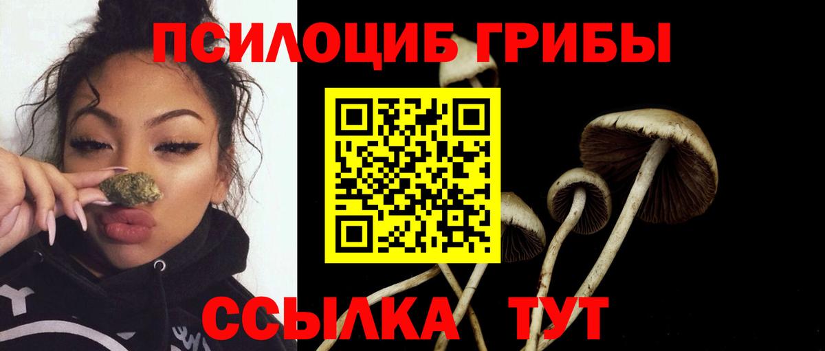 Галлюциногенные грибы ЛСД Находка